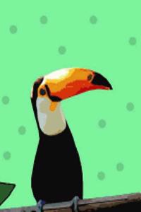 Toucan Notebook