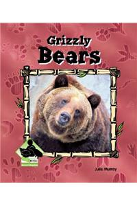 Grizzly Bears