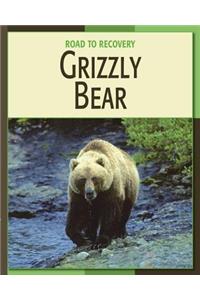 Grizzly Bear
