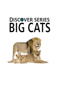 Big Cats