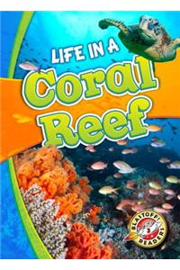 Life in a Coral Reef