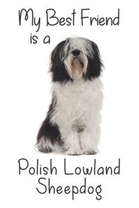 My best Friend is a Polish Lowland Sheepdog