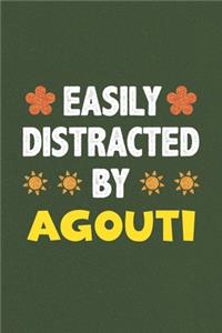 Easily Distracted By Agouti