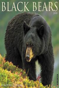 Black Bears 2018 Wall Calendar