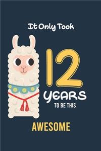 It Only Took 12 Years to be this Awesome