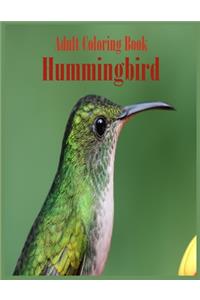 Adult Coloring Book Hummingbird