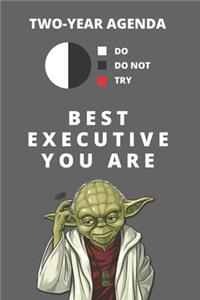 2020 & 2021 Two-Year Daily Planner For Best Executive Gift - Funny Yoda Quote Appointment Book - Two Year Weekly Agenda Notebook For CEO or Director