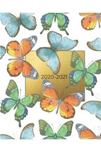 2020-2021