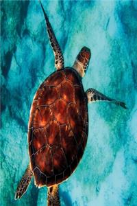 Wasserschildkröte Notizbuch