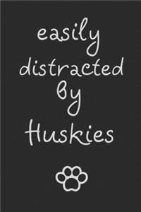 Easily distracted by Huskies