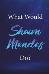 What Would Shawn Mendes Do?