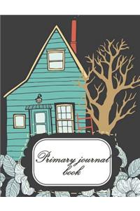 Primary journal book