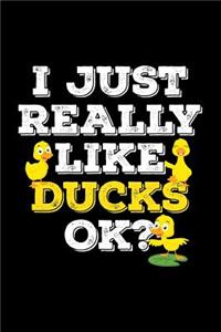 I Just Really Like Ducks Ok?