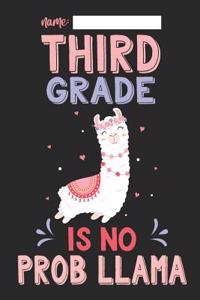 Third Grade Is No Prob Llama
