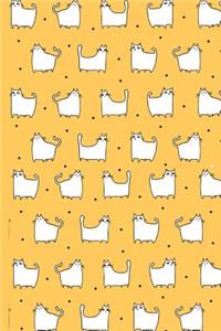 Precious Cats - Orange