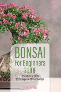 Bonsai For Beginners Guide