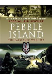 Pebble Island: Operation Prelim