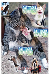Cat Tosha Adventures
