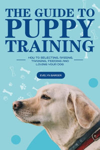 Guide to Puppy Training