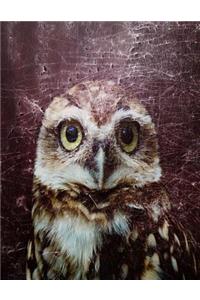 Owl Notebook