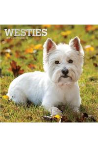 West Highland White Terriers 2019 Square Foil