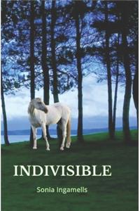 Indivisible