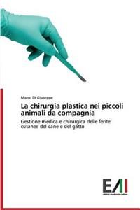 La chirurgia plastica nei piccoli animali da compagnia