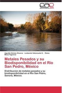 Metales Pesados y su Biodisponibilidad en el Río San Pedro, México