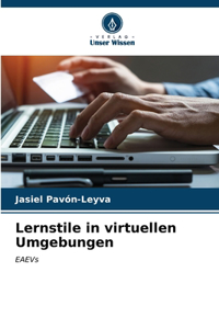 Lernstile in virtuellen Umgebungen