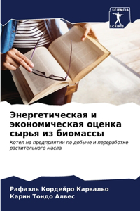Энергетическая и экономическая оценка с