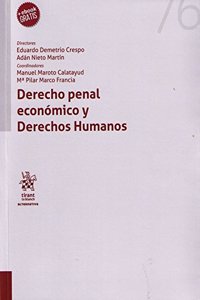 Derecho penal economico y derechos humanos