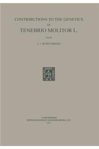 Contributions to the Genetics of Tenebrio Molitor L