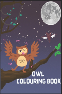 Owl coloring books for kids ages 8-12