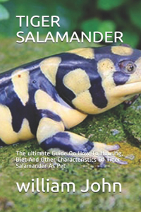 Tiger Salamander