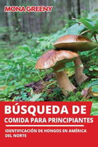 Búsqueda de comida para principiantes