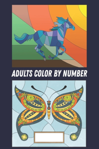 Adults Color by Number