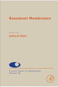 Basement Membranes