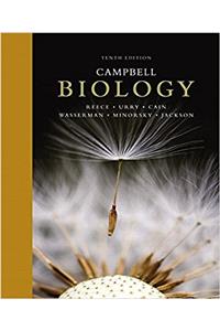 Study Card for Campbell Biology