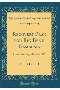 Recovery Plan for Big Bend Gambusia: Gambusia Gaigei Hubbs, 1929 (Classic Reprint)