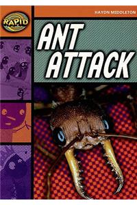 Rapid Reading: Ant Attack (Stage 4, Level 4B)