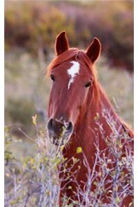 Kids Equine Journal: Wide Ruled Journal or Notebook