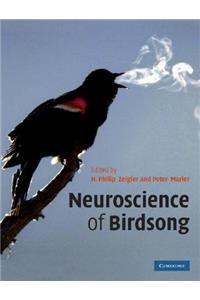 Neuroscience of Birdsong