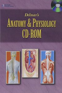 Cdr Anatomy / Physiology