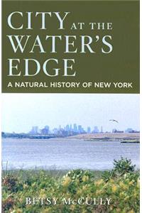 City at the Water's Edge
