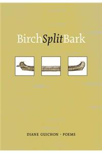 Birch Split Bark