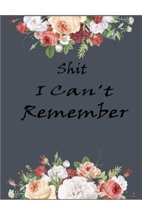 Shit I Can't Remember