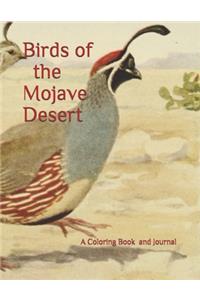 Birds of the Mojave Desert