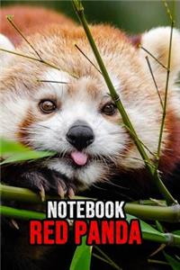 Red Panda Notebook