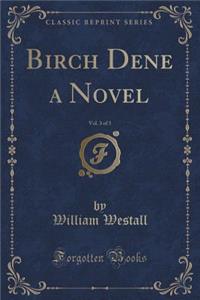Birch Dene a Novel, Vol. 3 of 3 (Classic Reprint)
