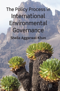 Policy Process in International Environmental Governance